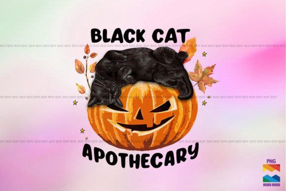 Black Cat Pumpkin Apothecary