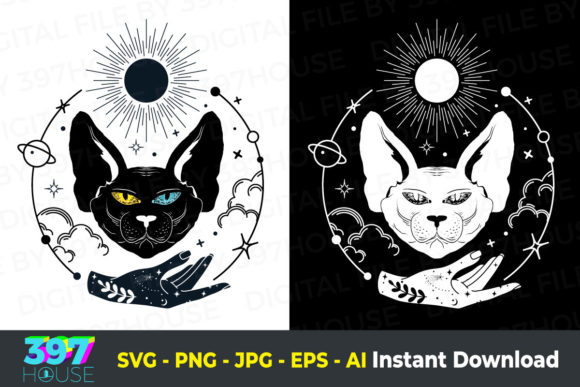 Celestial Sphynx Cat